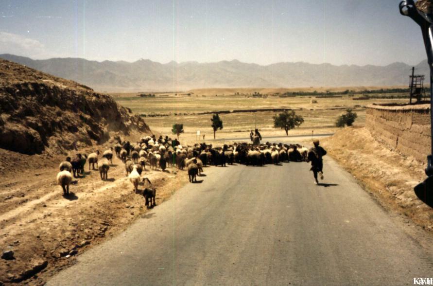 Afghánistán 129.jpg